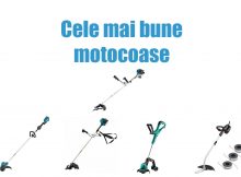 Cele mai bune motocoase